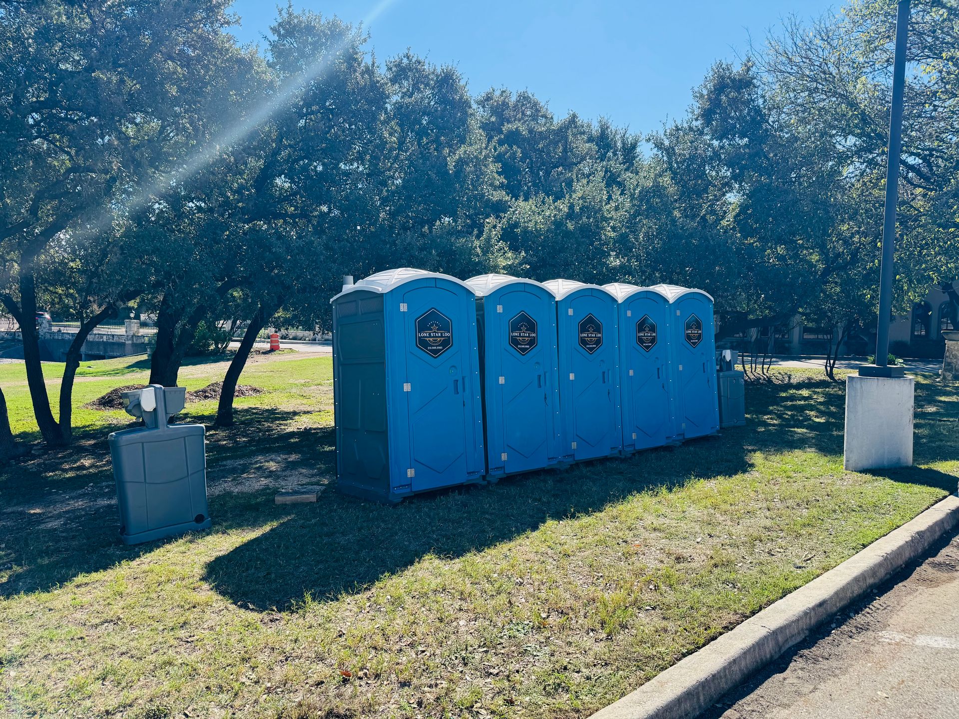 Row of blue portable toilets in a sunny park beside a road and trees
