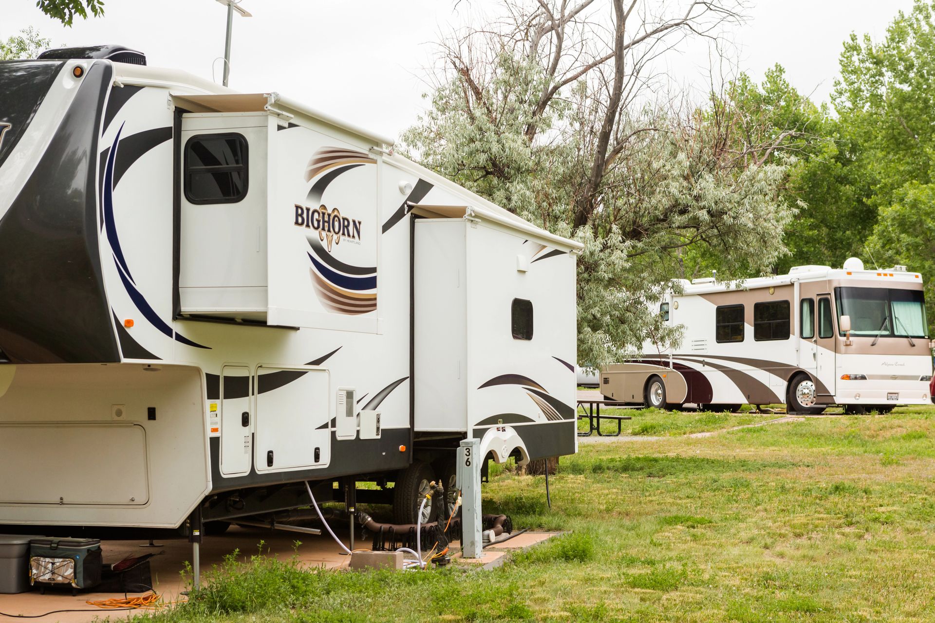 Two RVs parked on grassy ground, with trees in the background