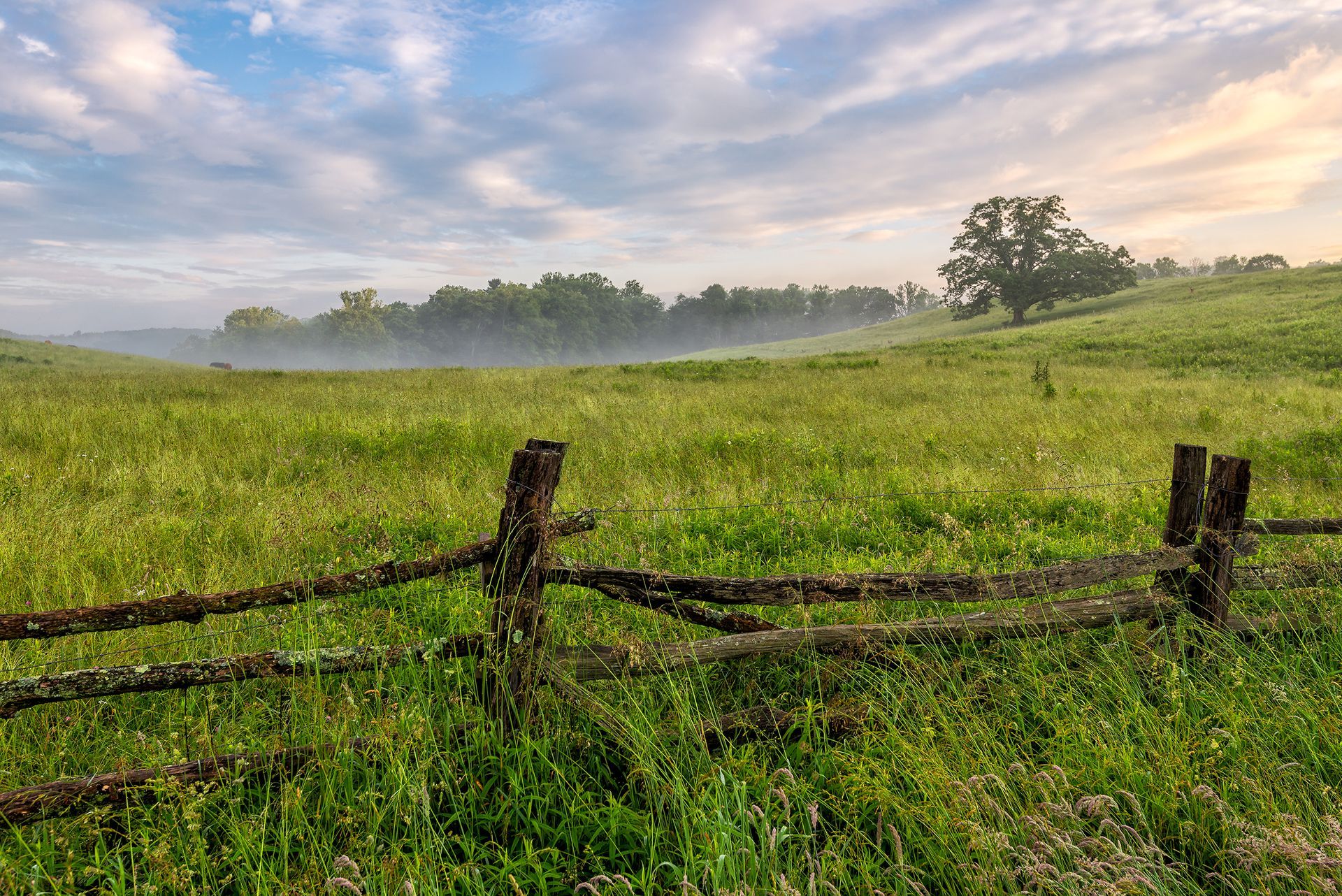 Foggy green meadow with a rustic wooden fence under a pastel sunrise sky