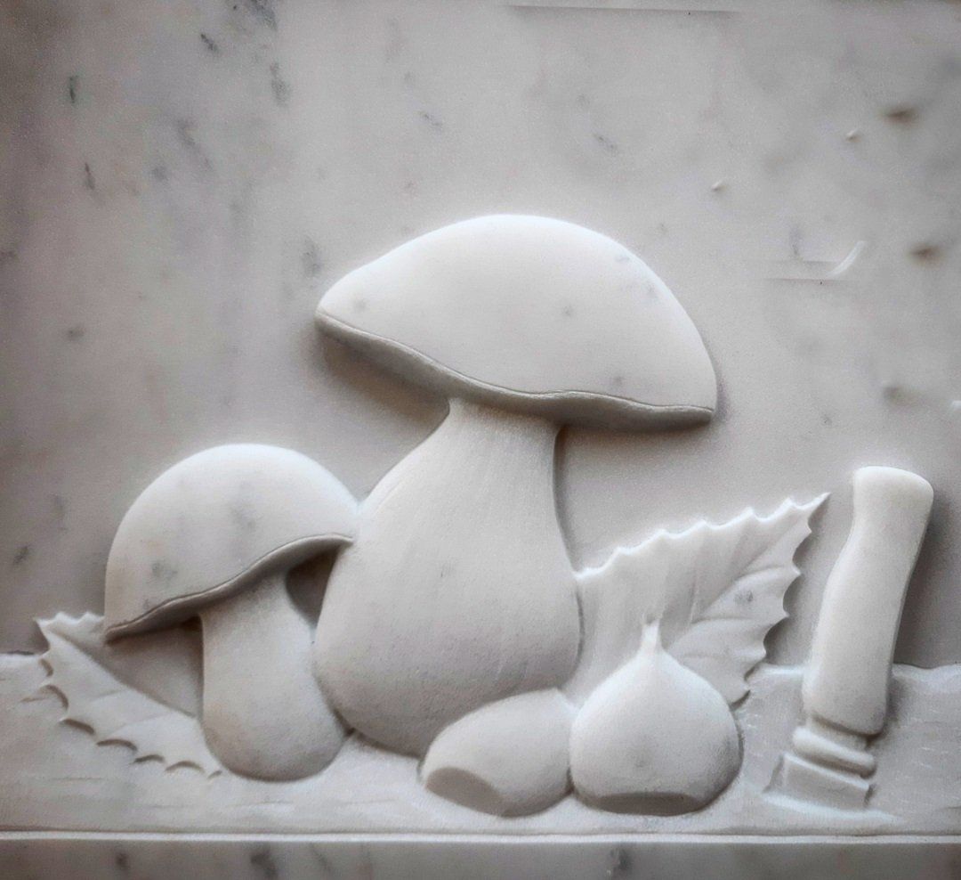 Incisione funghi