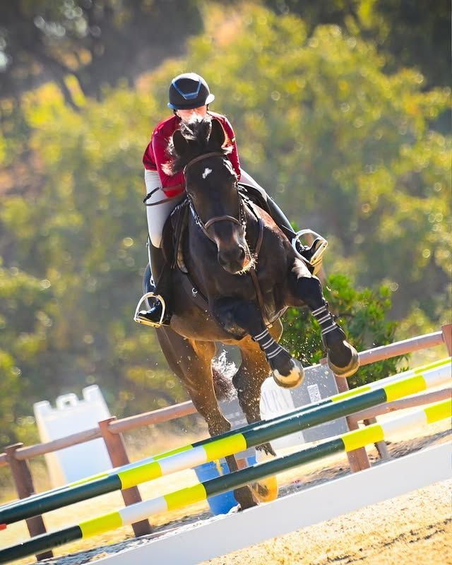Horse and rider jumping over a rail fence obstacle at an outdoor equestrian competition.