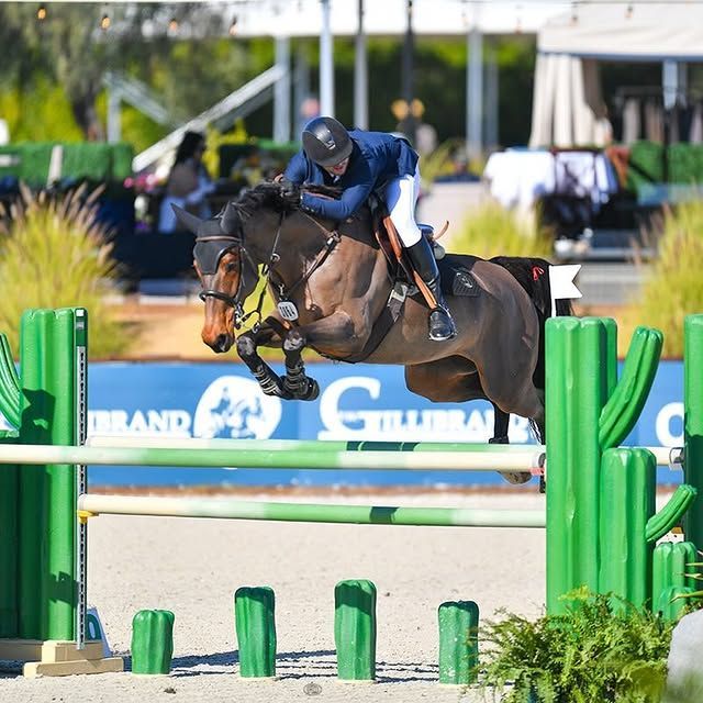 Equestrian rider on a horse jumping over a green cactus-themed obstacle at an outdoor competition.