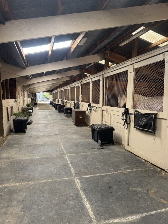 Horse stable interior with stalls, overhead skylights, and a concrete floor.