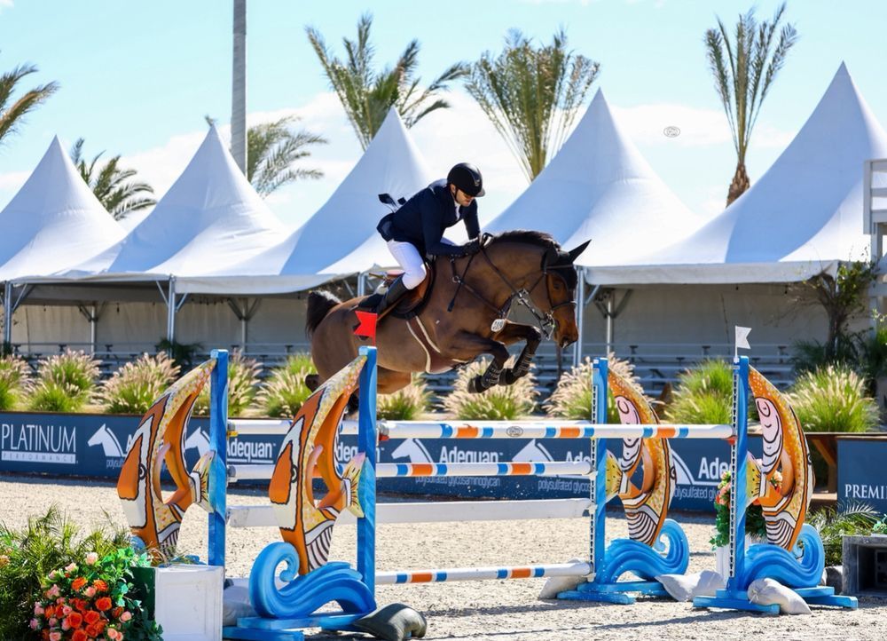 Equestrian rider on a horse jumping a decorated obstacle course at an outdoor event, with white tents in the background.