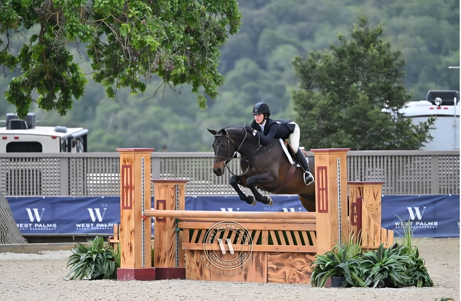 Woman on a horse jumping a decorated fence at an equestrian event; outdoor setting.