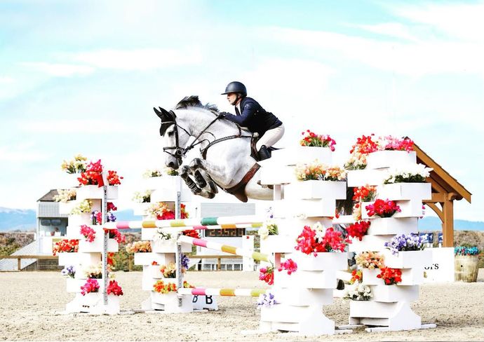 Horse and rider clearing a white and pink show-jumping obstacle on a sandy arena