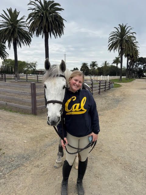 Person in a Cal sweatshirt standing with a white horse on a dirt path lined with palm trees.