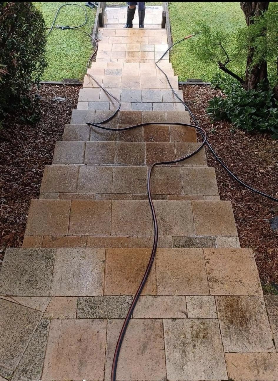 Stone walkway with a black hose or cable running down the center toward a garden path.