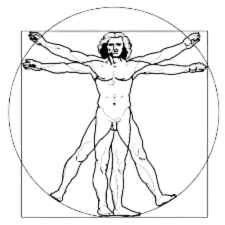 Massage Therapy | McKinney, TX | Vitruvian Man 2