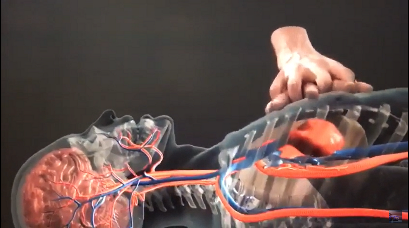 A digital cross-section showing hands performing CPR, compressing the chest to circulate blood to the brain.