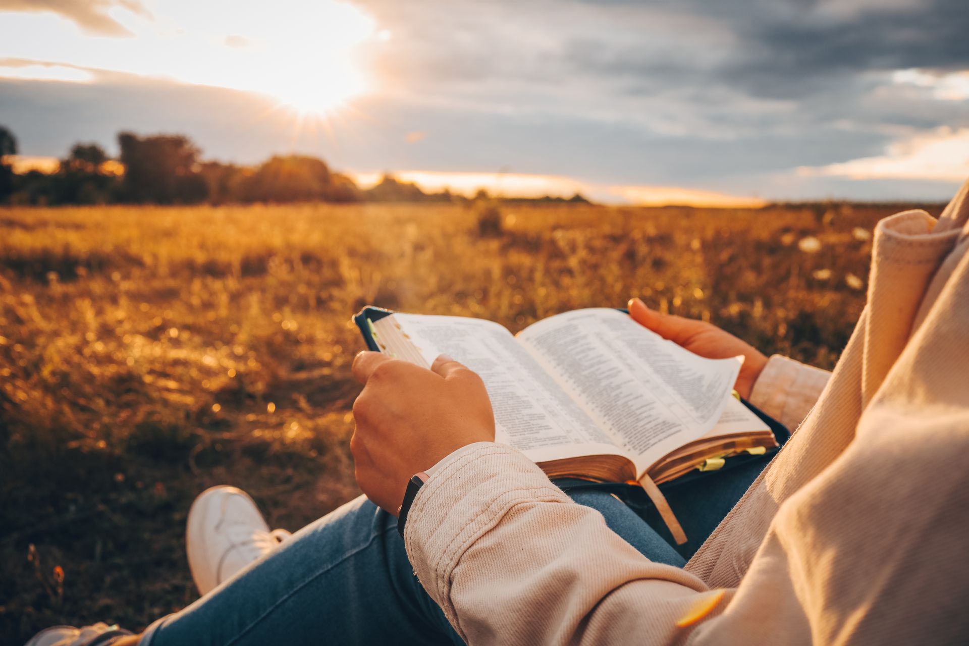 Person reading a book outdoors at sunset in a golden field