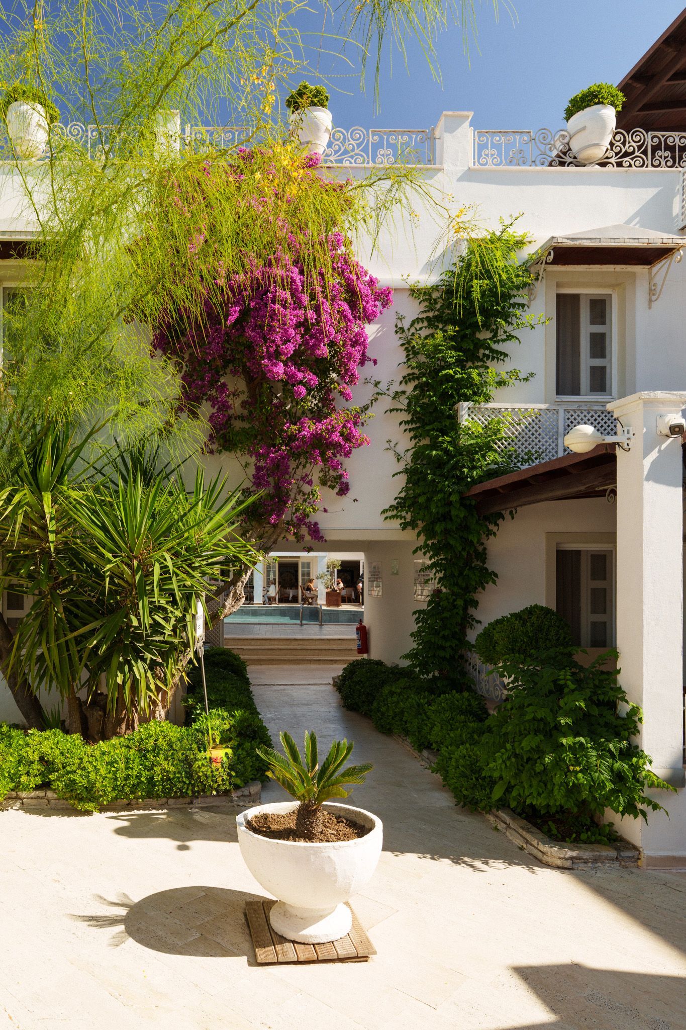 Manzara Boutique Hotel | Sunlit courtyard with white buildings, a potted plant, and bougainvillea climbing the walls.