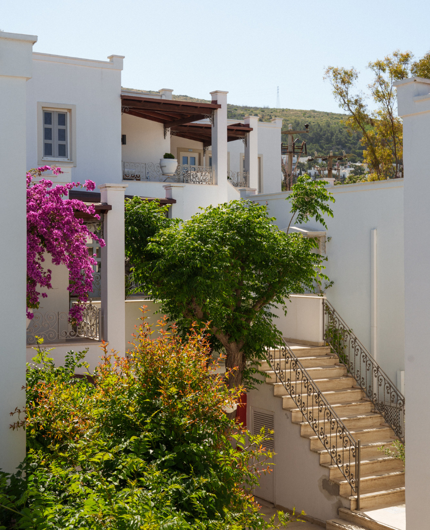 Manzara Boutique Hotel | White hillside buildings with a stairway, green trees, and pink bougainvillea in a sunny courtyard