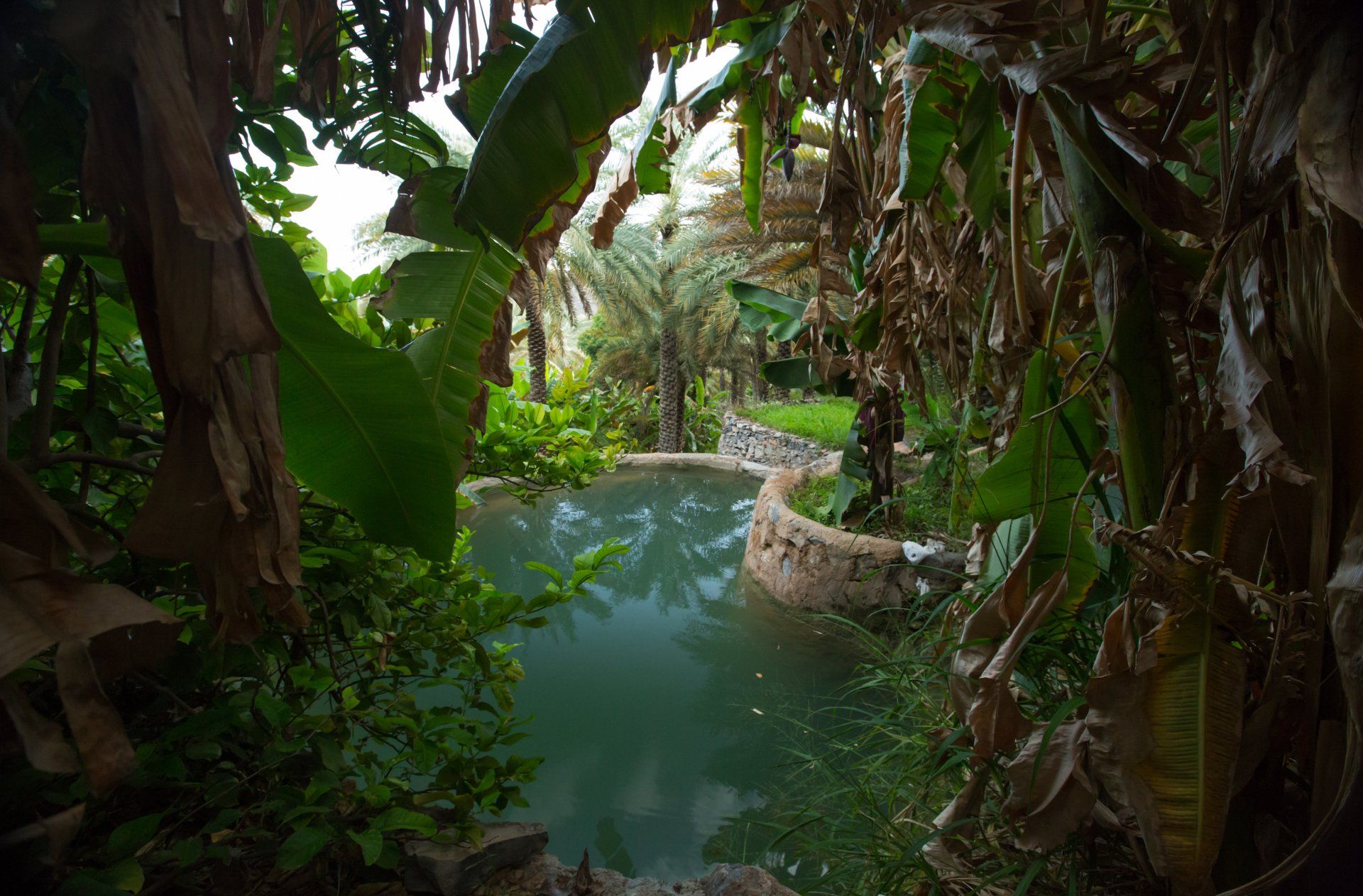oman tours