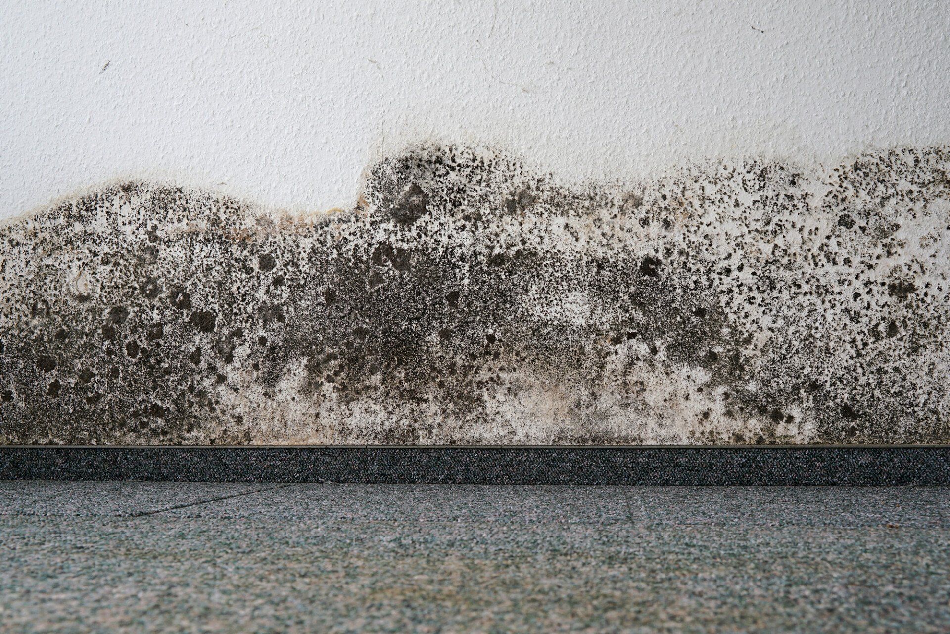 Rising damp on wall