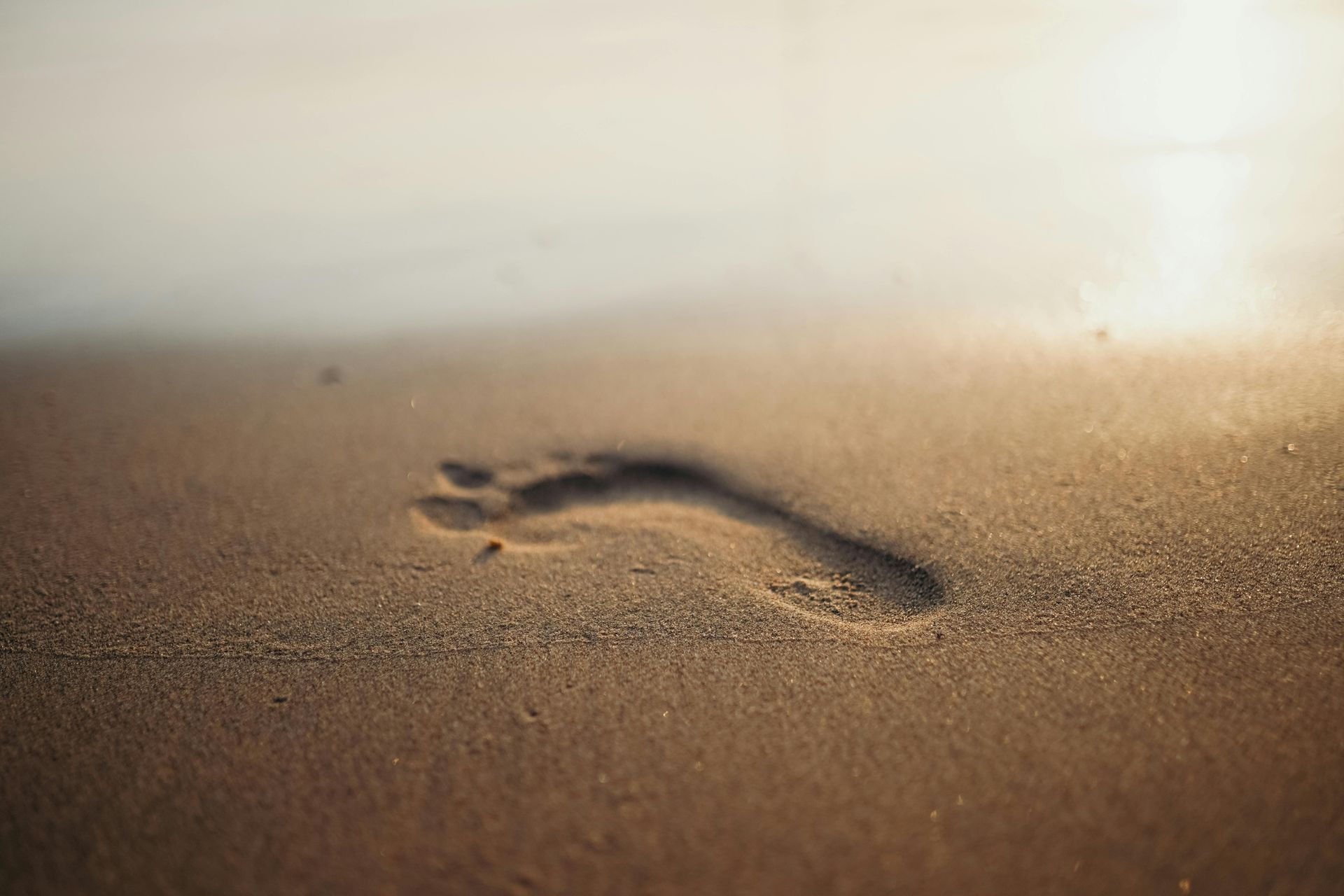 Fußabdruck im nassen Sand, nahe dem Wasserrand. Goldenes Sonnenlicht, verschwommener Hintergrund.