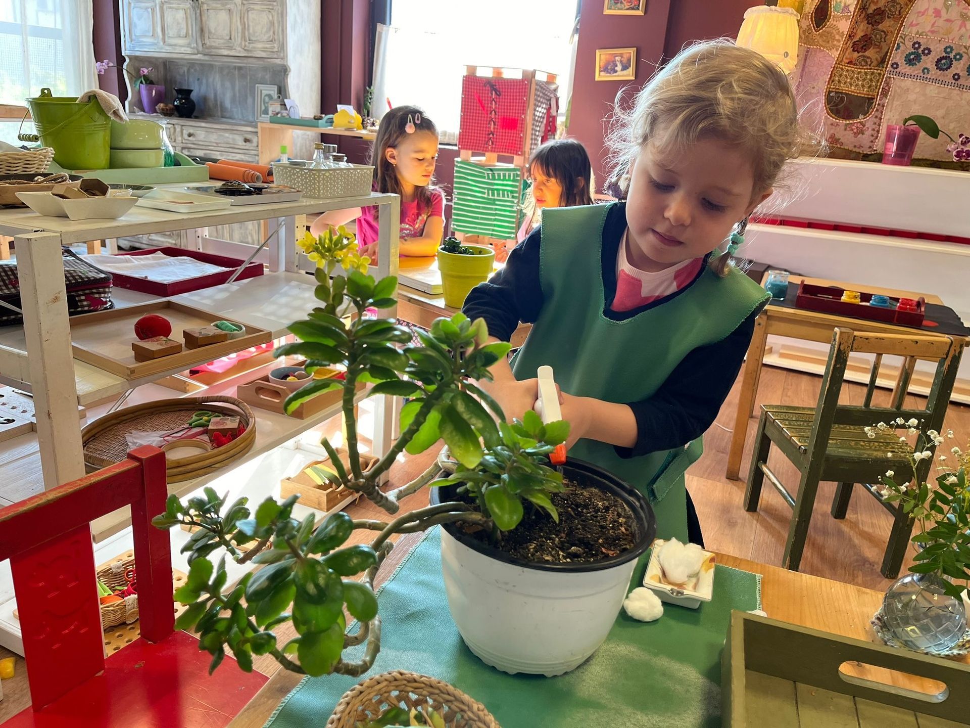 A young boy is watering a potted plant in a classroom.