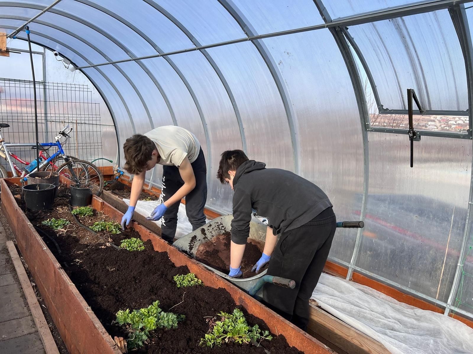 Two people are working in a greenhouse planting plants.