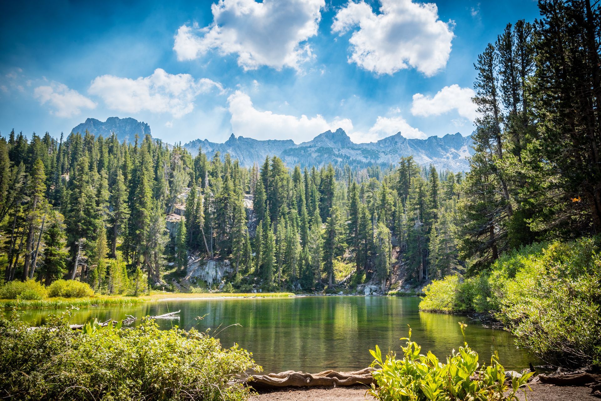 A lake in the middle of a forest with mountains in the background.fish logo