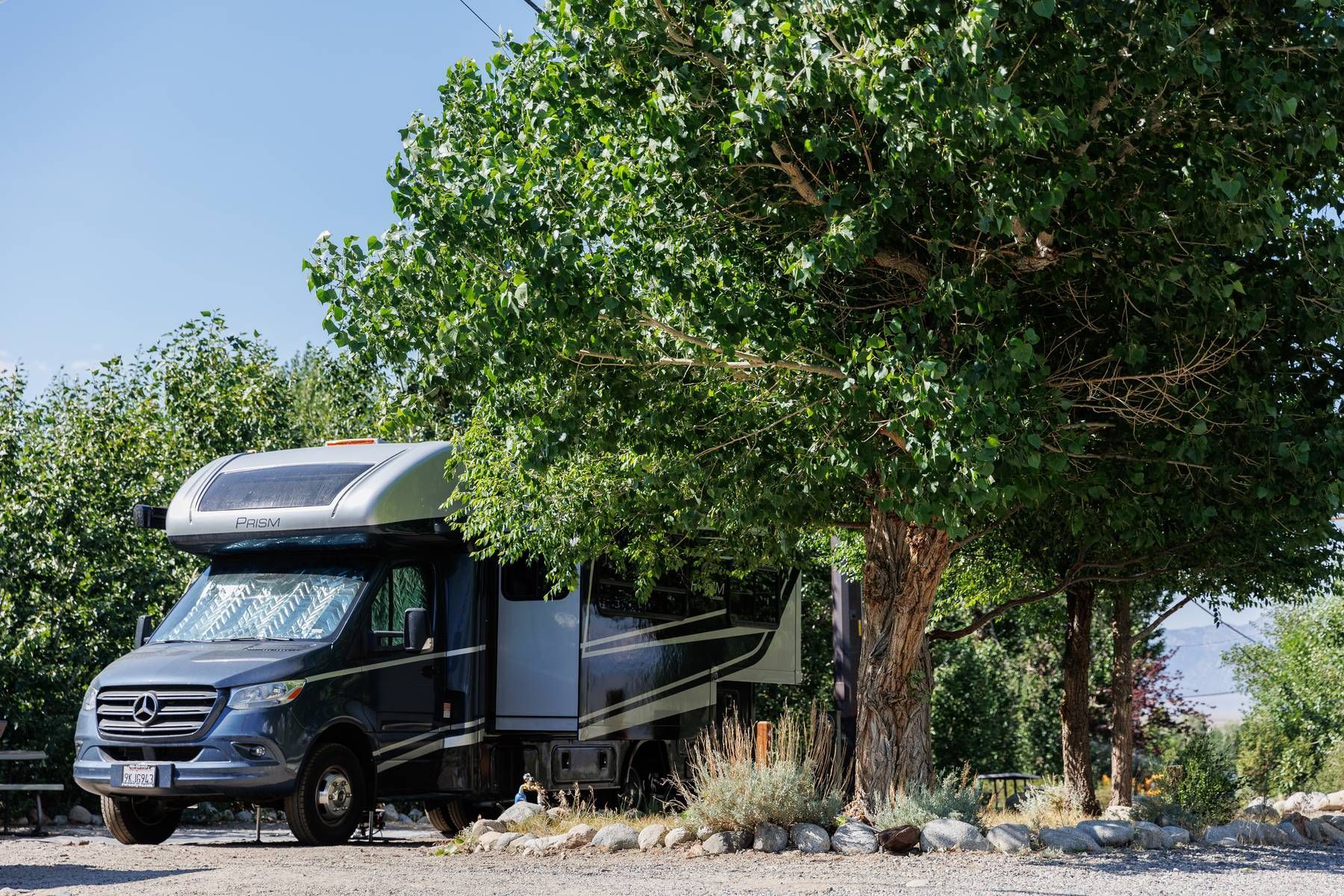 A rv is parked under a tree in a gravel lot.