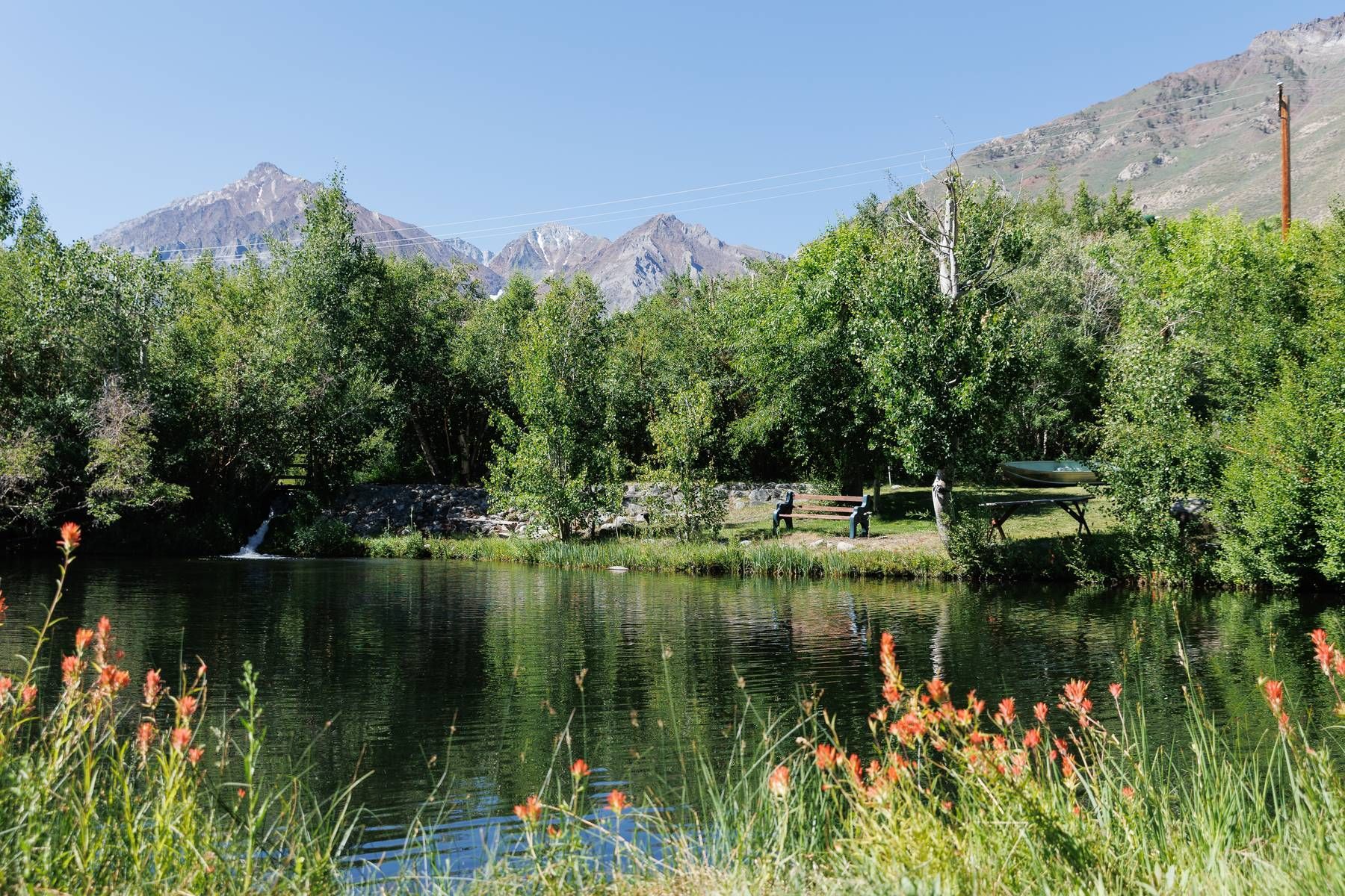 A lake surrounded by trees and flowers with mountains in the background