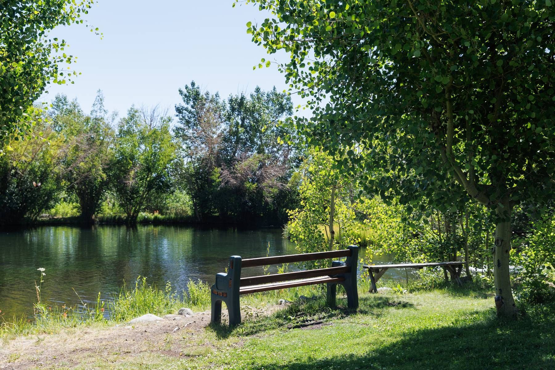 A wooden bench sits in the grass near a lake