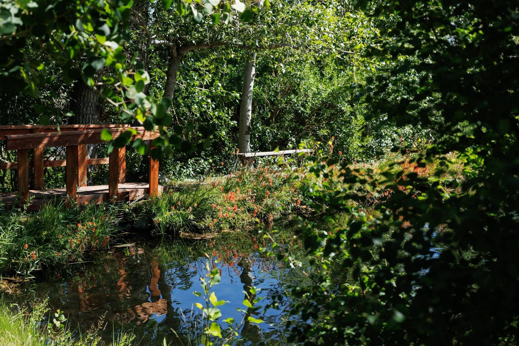A wooden bridge over a pond in the middle of a forest