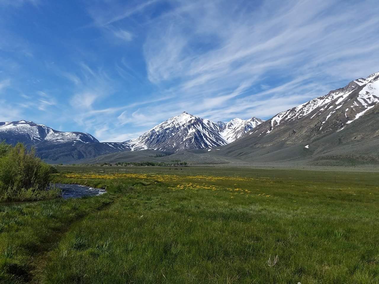 A grassy field with mountains in the background and a river in the foreground.