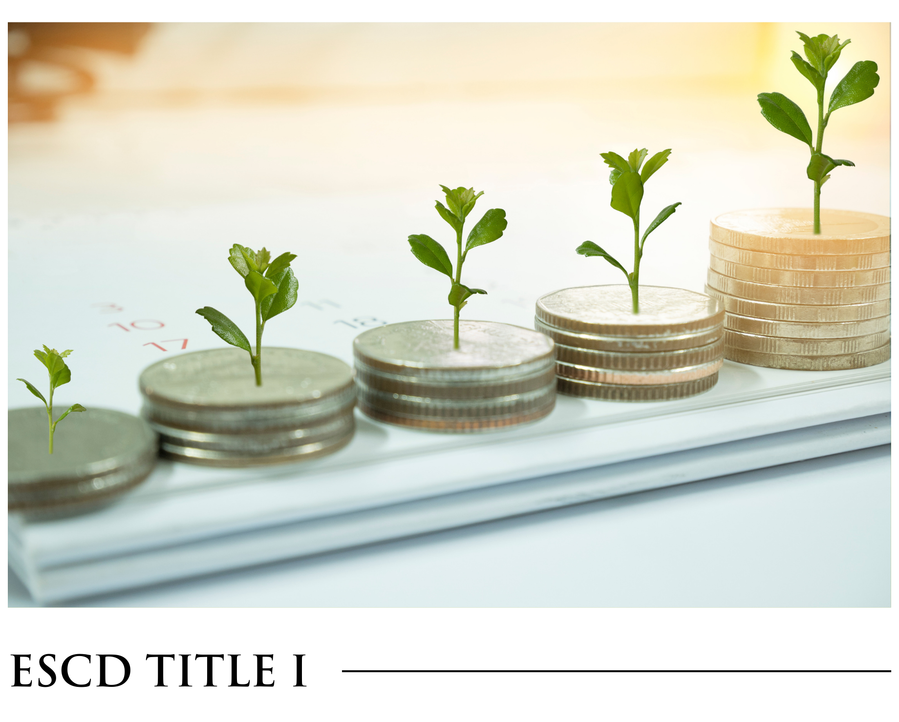 A stack of coins with plants growing out of them.