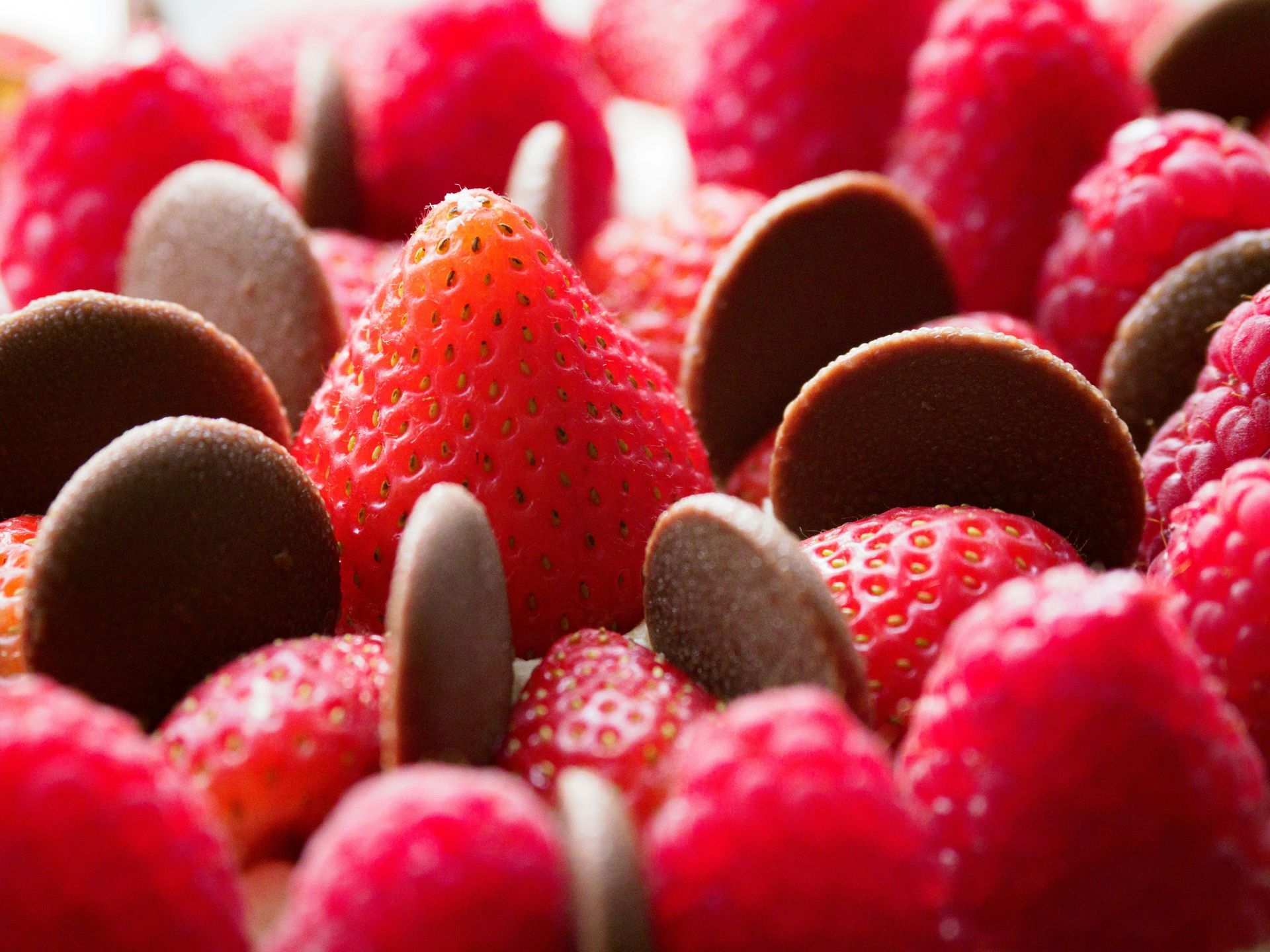 Primo piano di una torta decorata con fragole, lamponi e dischi di cioccolato.