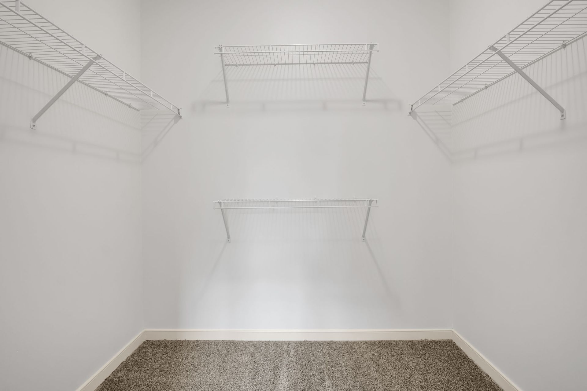Empty white walk-in closet with wire shelving on three walls and carpeted floor