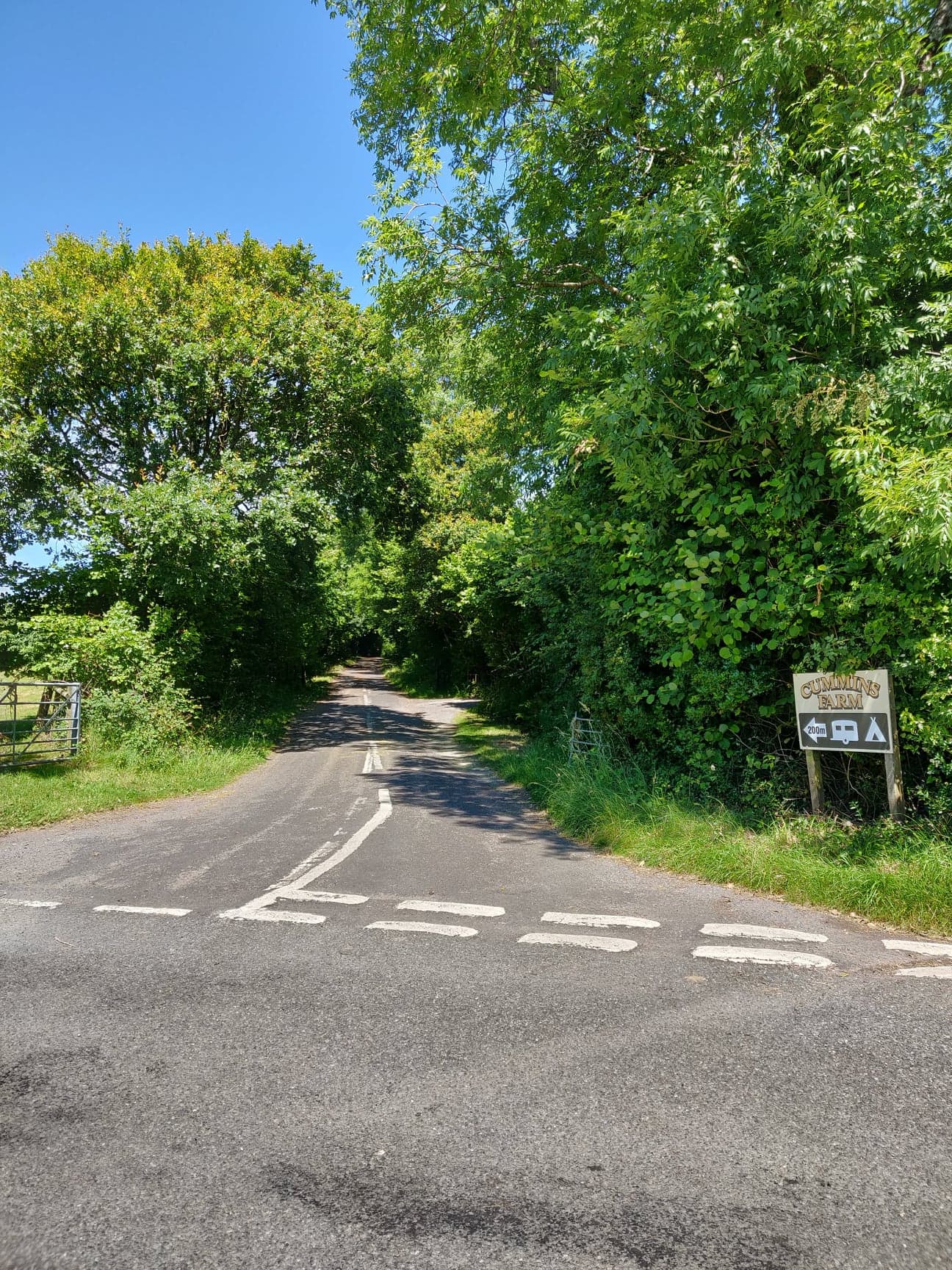 Jurassic Coast Campsite, located between Charmouth and Lyme Regis