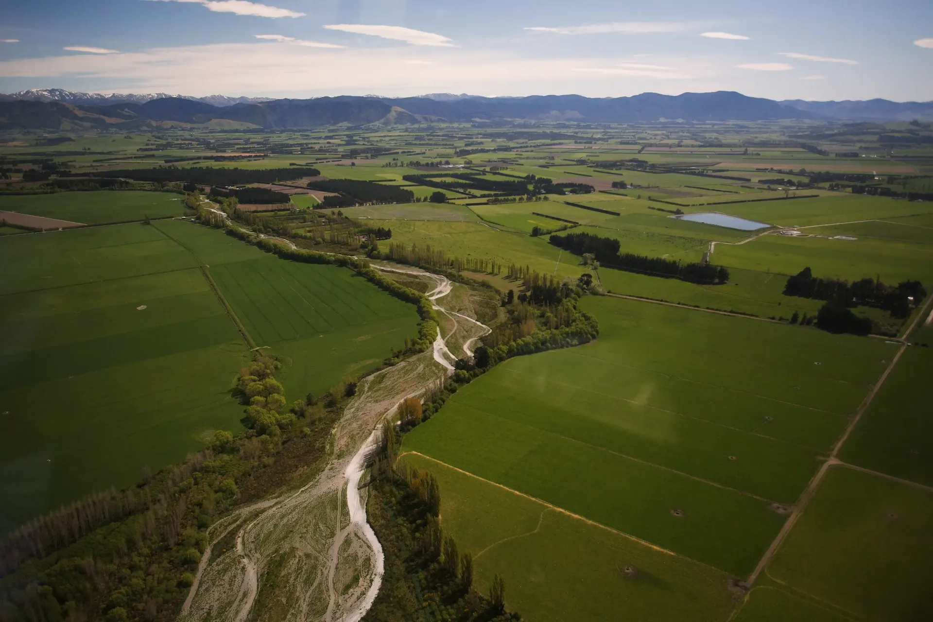 The Whale Train experience that Journeys from Christchurch through Kaikoura and back to Christchurch