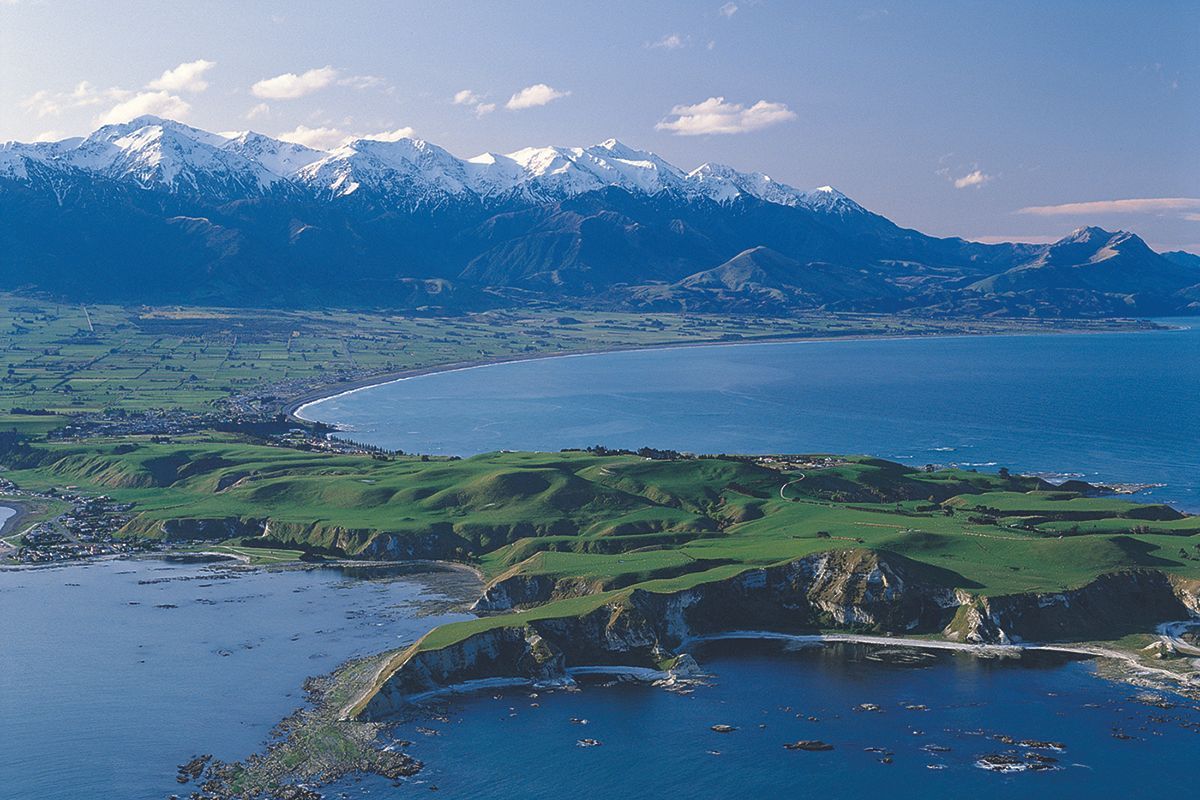 The Whale Train experience that Journeys from Christchurch through Kaikoura and back to Christchurch