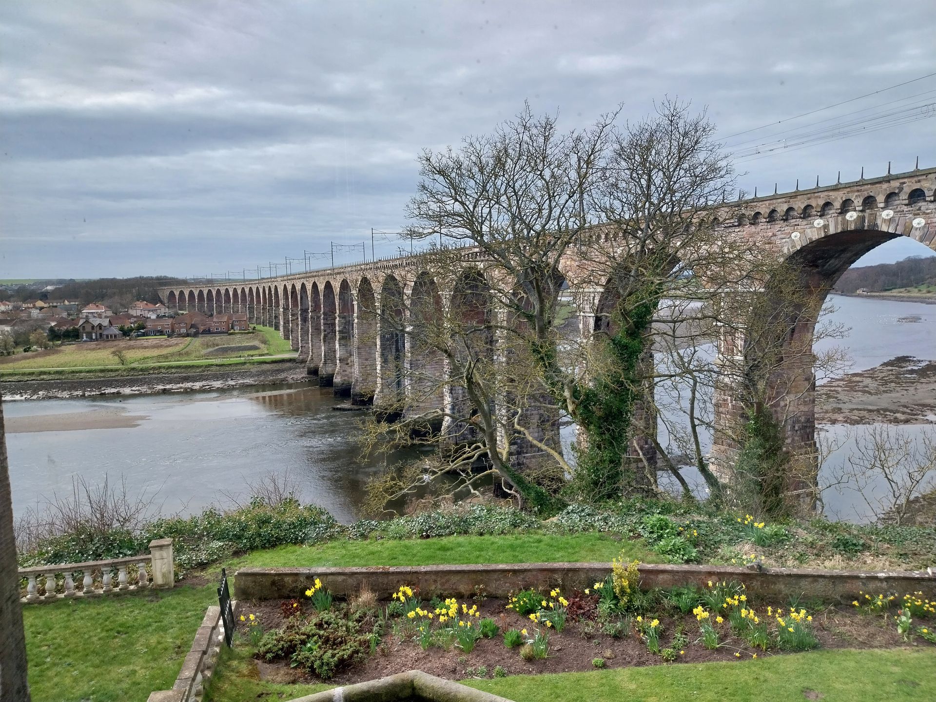 A historic stone arched railway viaduct spans a river, seen from a garden with yellow flowers in the foreground.