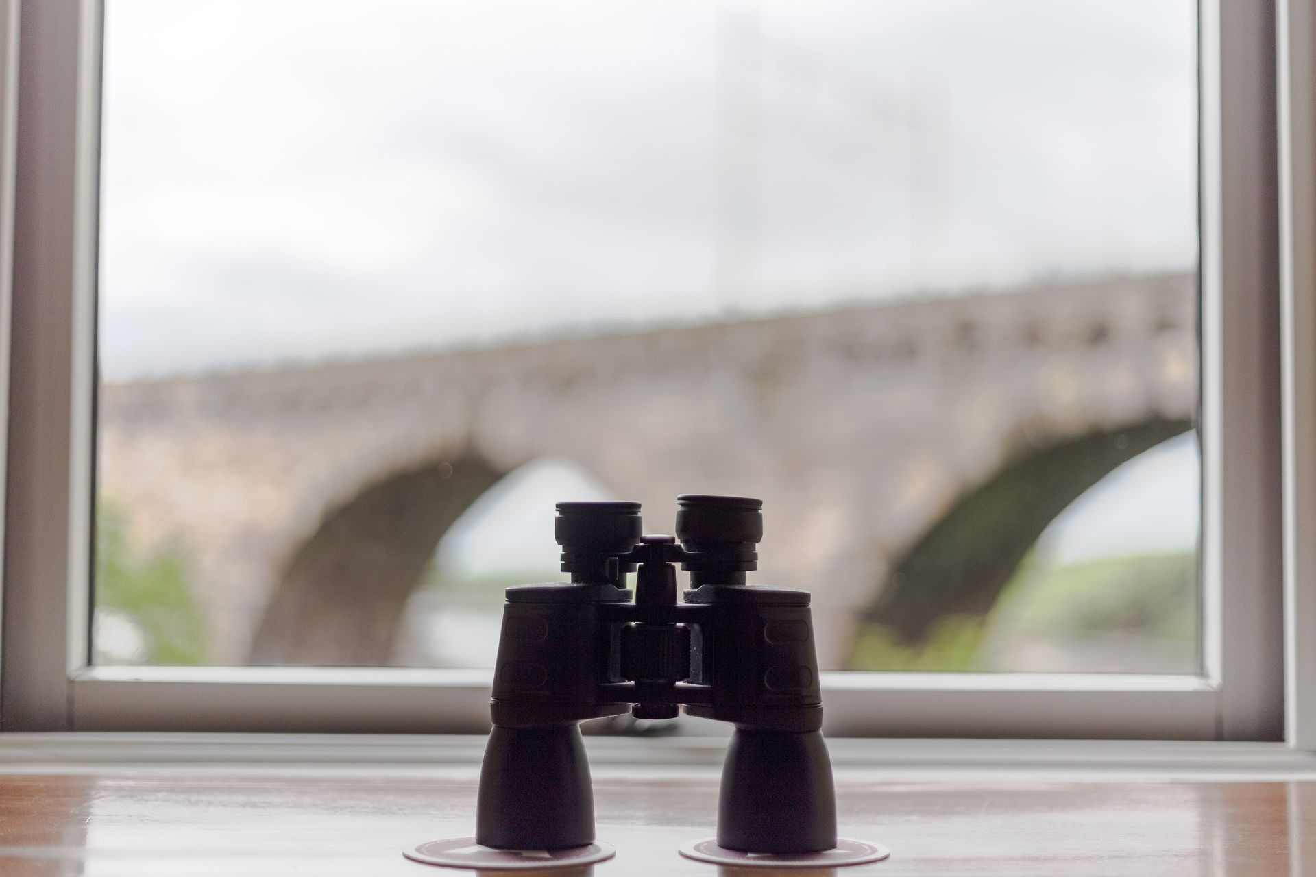Window view 
