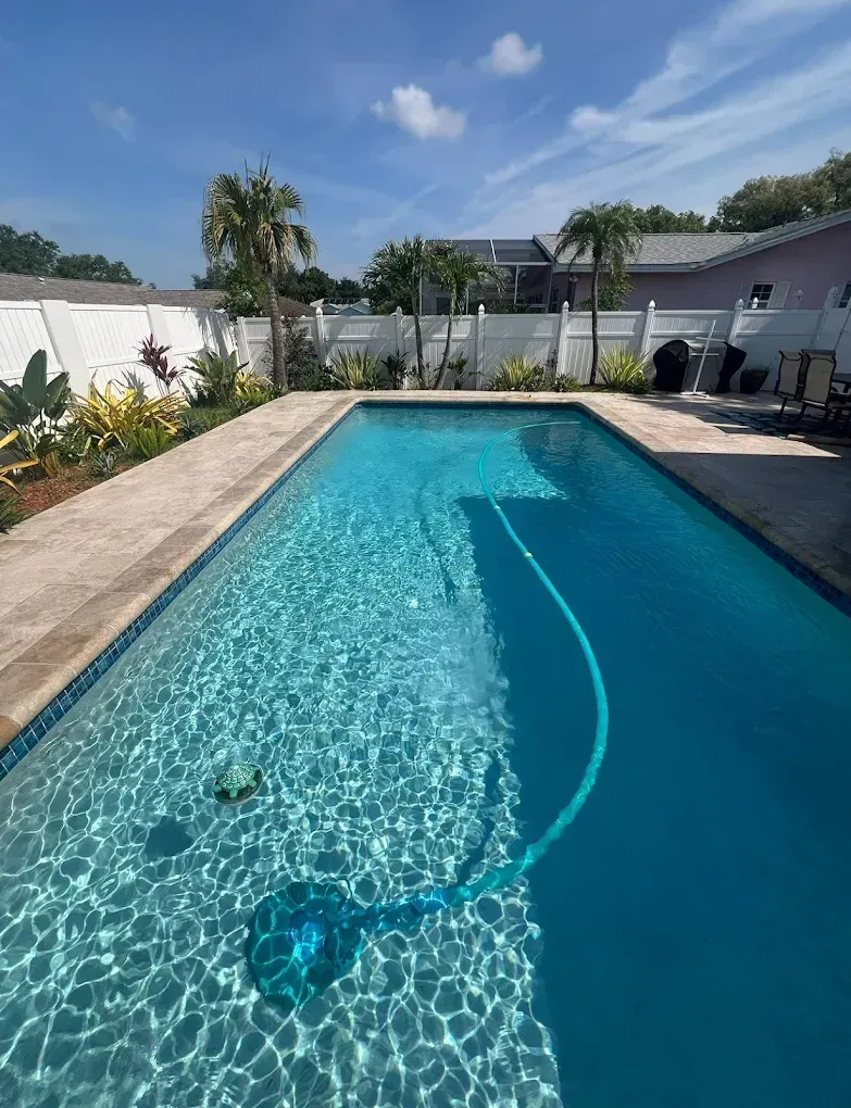 Backyard swimming pool with clear blue water, stone deck, palm trees, and lounge chairs under a sunny sky