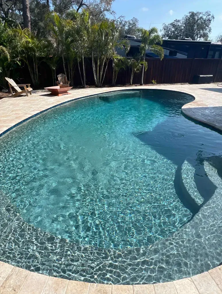 Curved turquoise backyard swimming pool with lounge chairs, palm trees, and sunlit water reflections