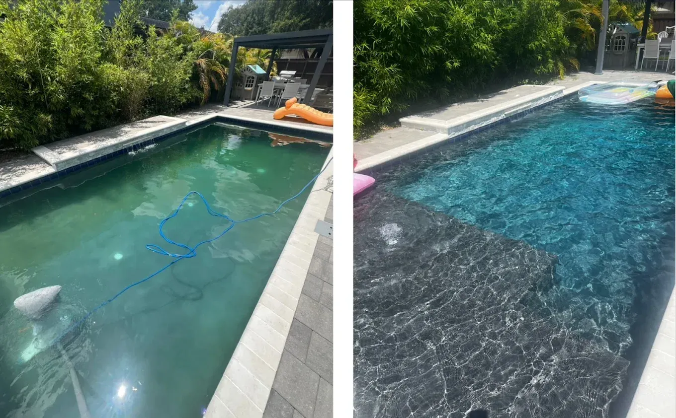 Before and after view of a backyard swimming pool, showing clear blue water versus murky green water.