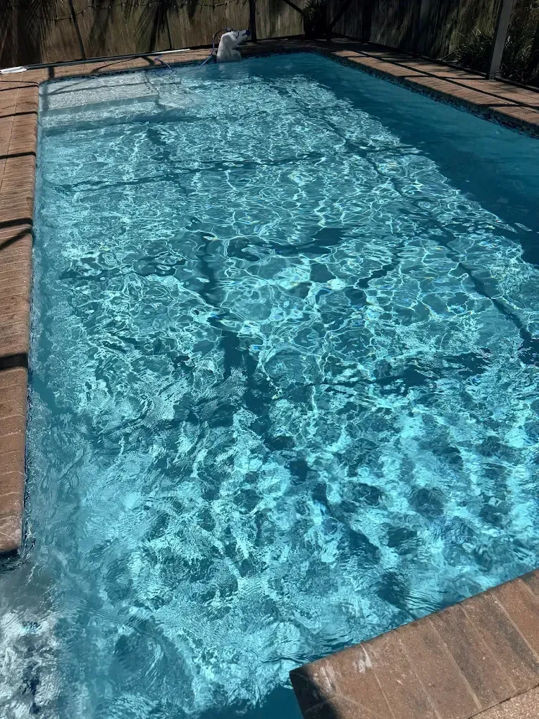 Empty blue swimming pool with shimmering water, tan brick deck, and a wooden fence backdrop