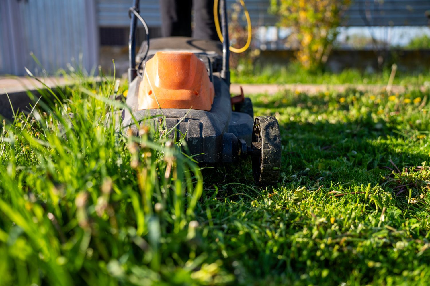 Orange lawn mower in tall green grass, viewed from the front in a sunny yard