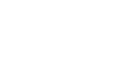 Action Precision LLC logo