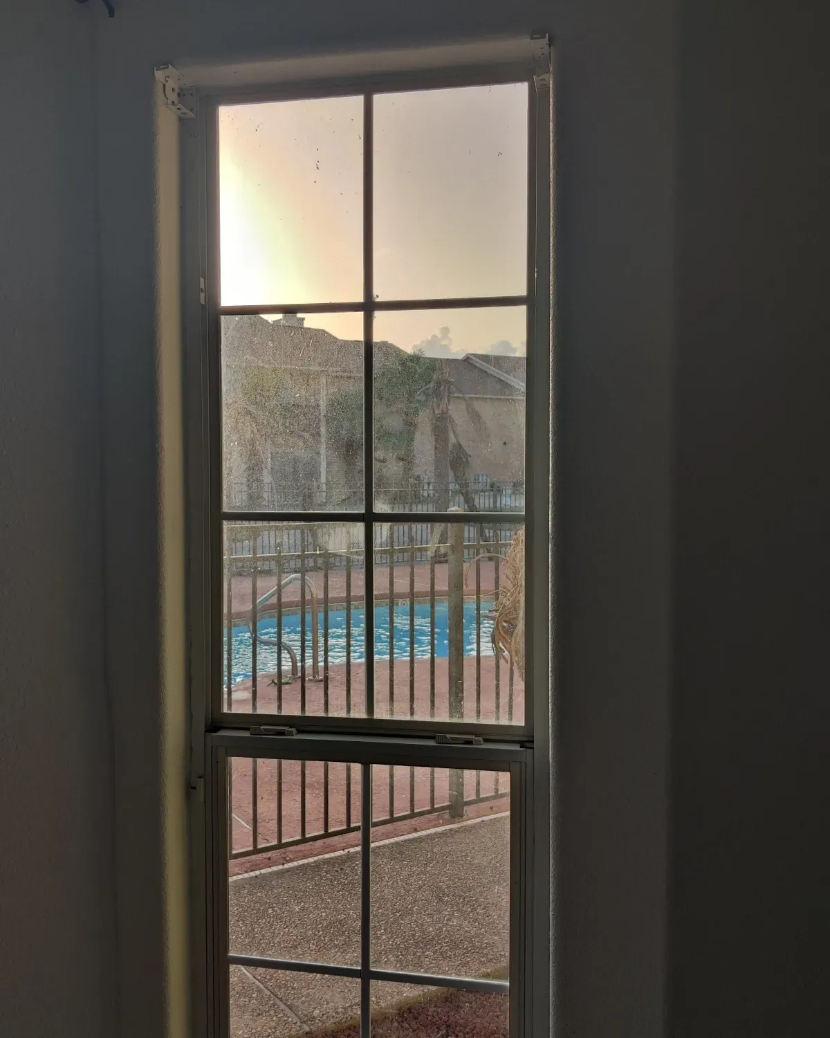 Window film