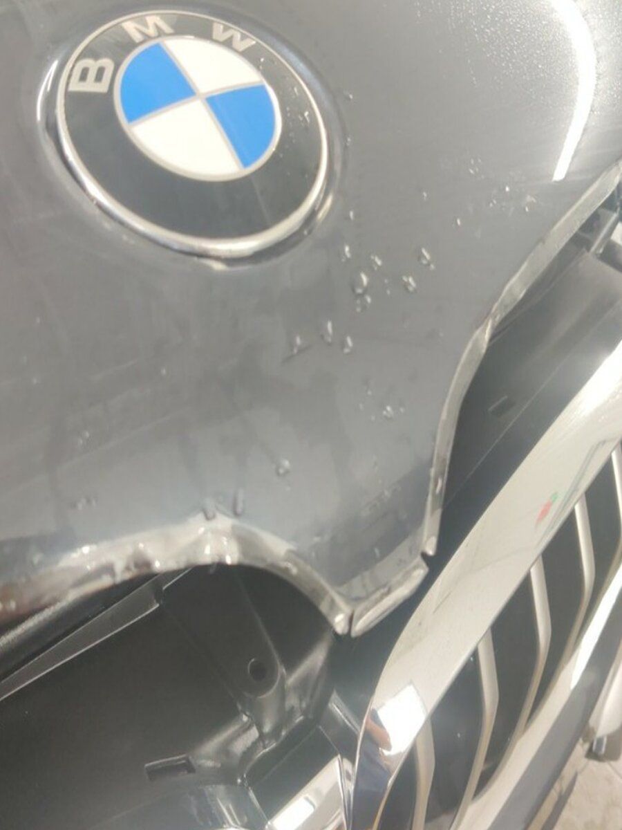 a close up of a bmw logo on the hood of a car