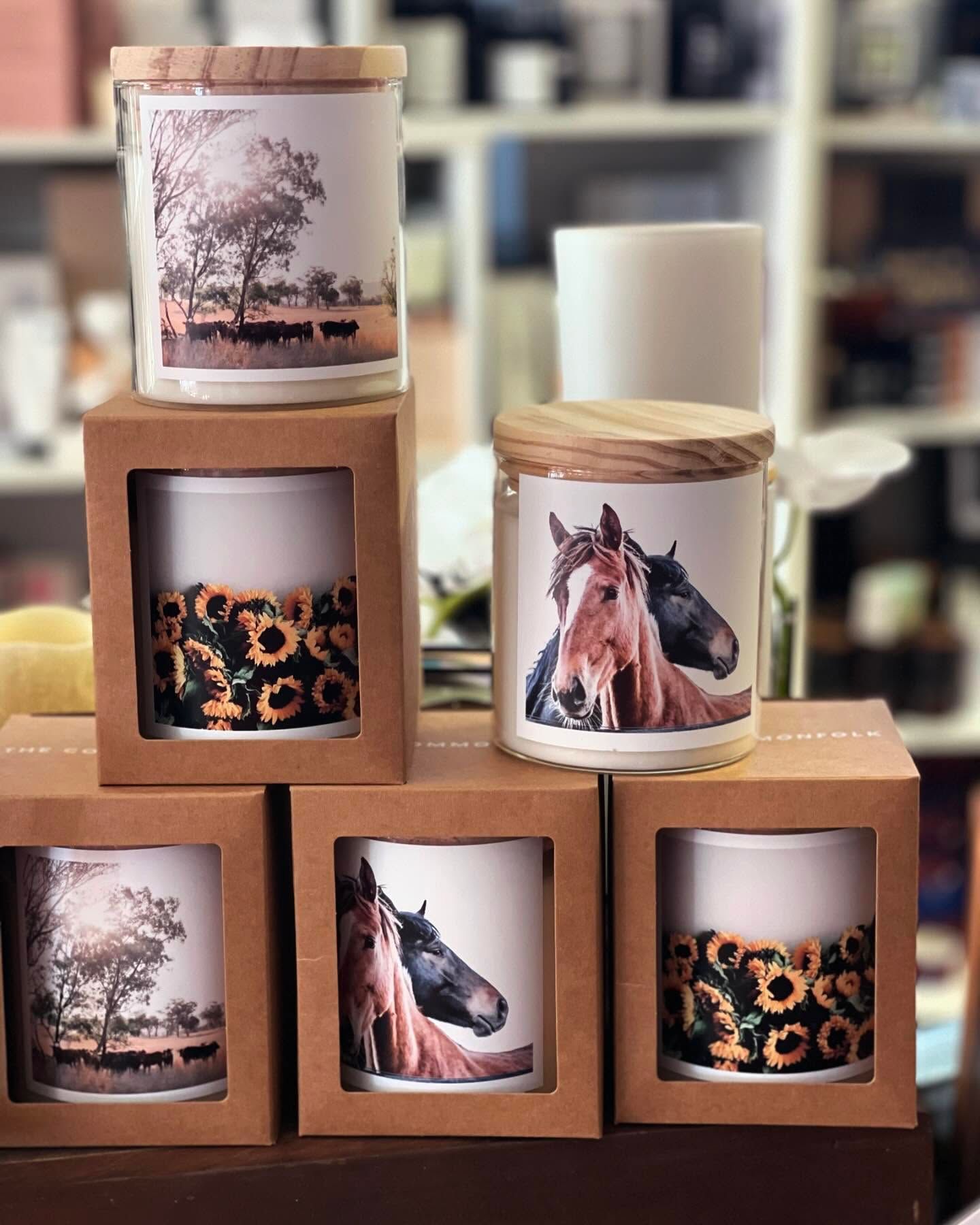 Candles With Nature and Horse Designs Displayed in Boxes — Decadence Gifts & Homewares in Central Highlands, QLD