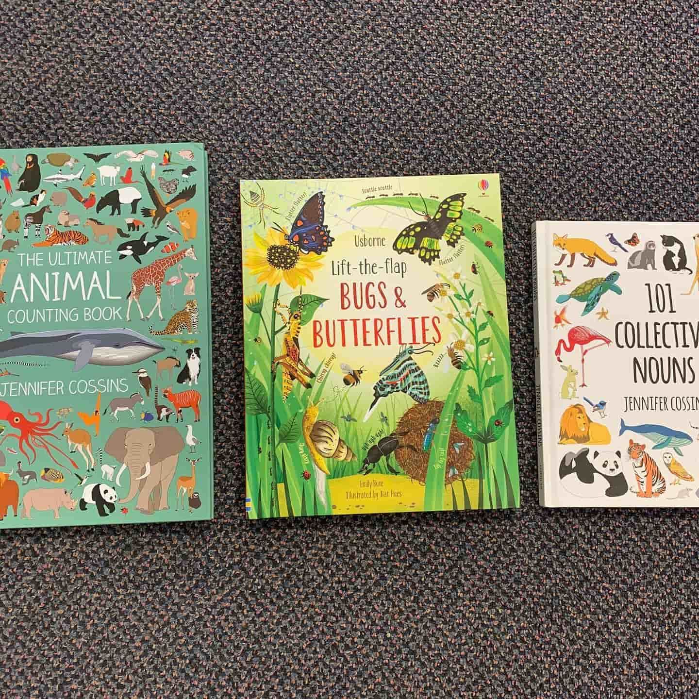 Three Colourful Children's Books on a Gray Surface — Decadence Gifts & Homewares in Springsure, QLD
