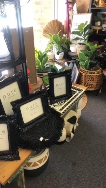 Black Framed Photos Displayed on a Table With Plants in a Shop — Decadence Gifts & Homewares in Springsure, QLD
