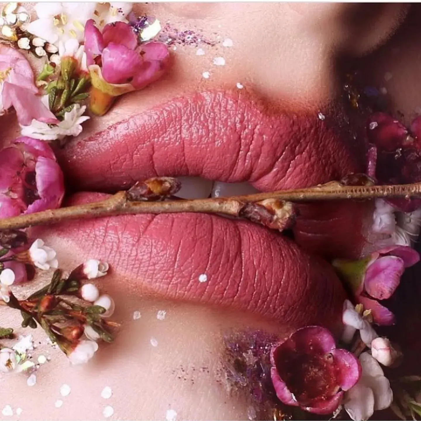 Close-up of Pink Lips With Twig, Surrounded by Flowers and Glitter — Decadence Gifts & Homewares in Springsure, QLD