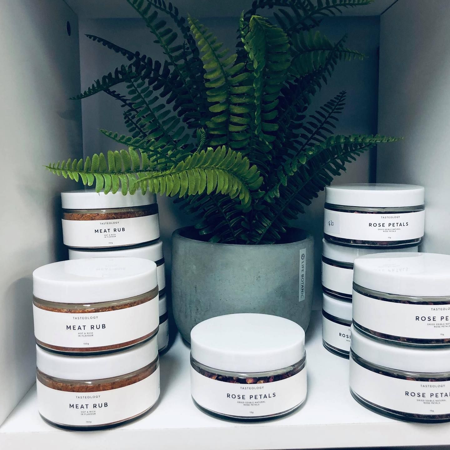Shelves With Jars of Body Products and a Potted Fern — Decadence Gifts & Homewares in Emerald, QLD