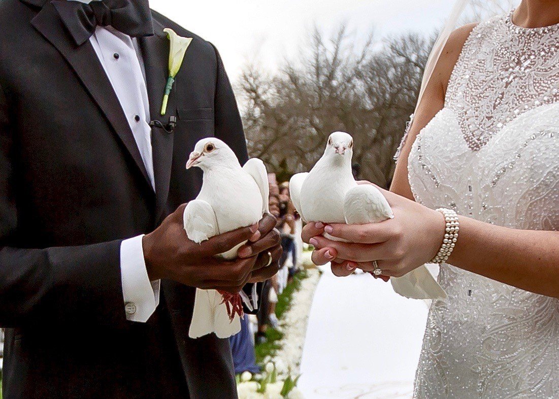 A Sign Of Peace White Dove Releases Dove Releases Erlanger, KY